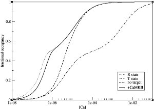 Increased calcium affinity upon target binding