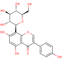 5304