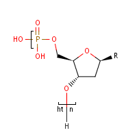 CHEBI:4294