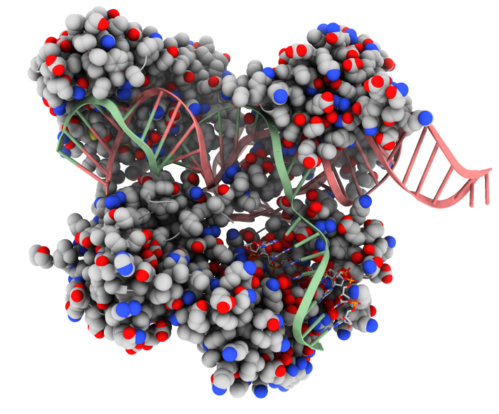 Structure of CRISPR-CAS9 complex