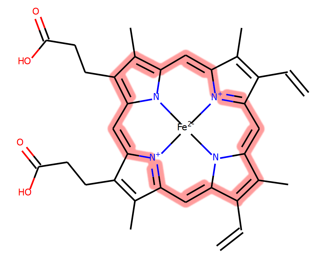 Haem ligand HEM with conjugated bond system highlighted