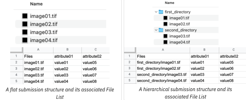 different file structures