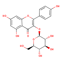kaempferol 3-O-beta-D-glucoside (CHEBI:30200)