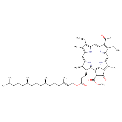 pheophytin b (CHEBI:38256)