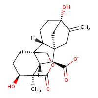 CHEBI:175651