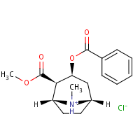 CHEBI:613010