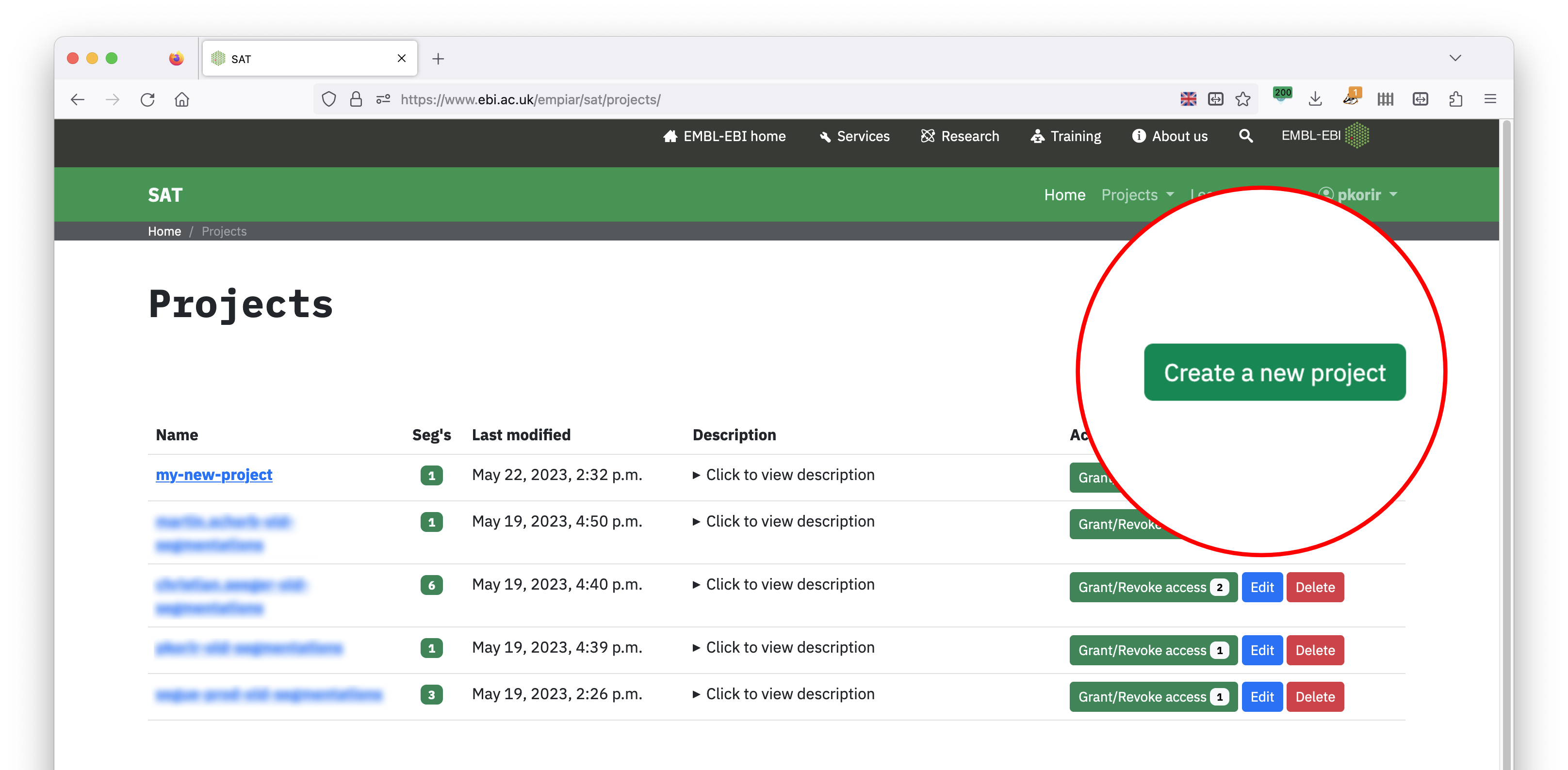 Annotating your segmentation — SAT Guide documentation