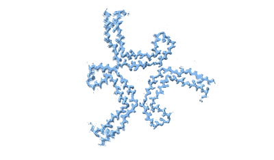 Assembly of recombinant tau into filaments identical to those of