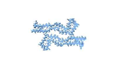 Assembly of recombinant tau into filaments identical to those of