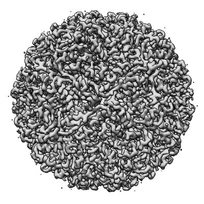 Structure and assembly of scalable porous protein cages