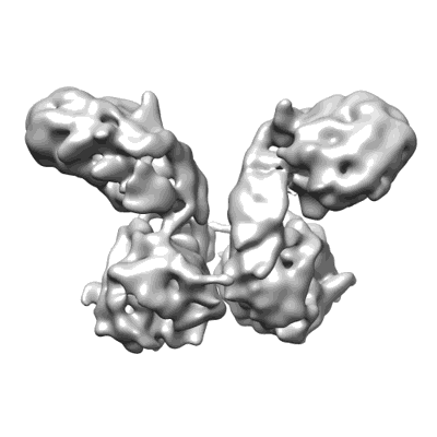 Volume map imageEMD-35708