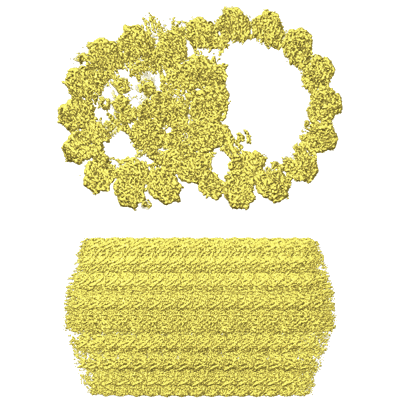 Volume map imageEMD-36498