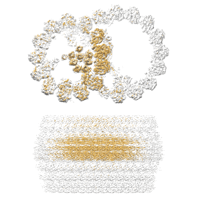 Volume map imageEMD-36549