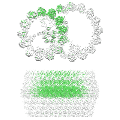 Volume map imageEMD-36552