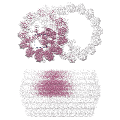 Volume map imageEMD-36587