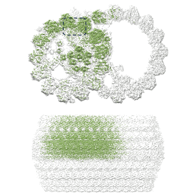 Volume map imageEMD-36588