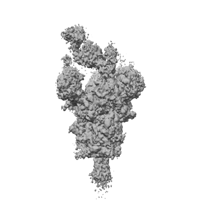 Volume map imageEMD-36636