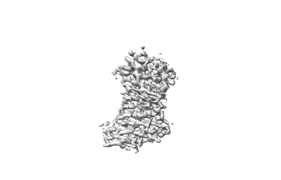 Volume map imageEMD-36738