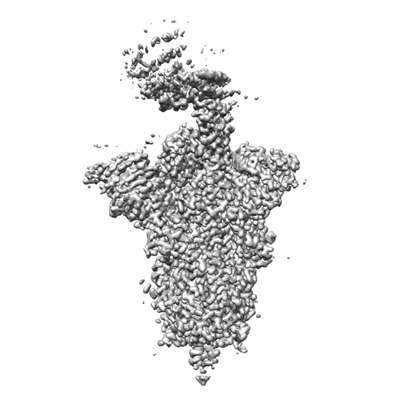 Volume map imageEMD-37704