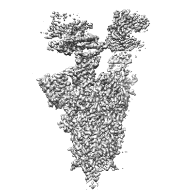 Volume map imageEMD-37706