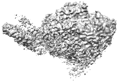 Volume map imageEMD-37848