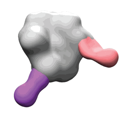 Volume map imageEMD-40252