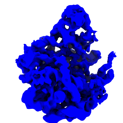 Volume map imageEMD-40513