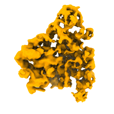 Volume map imageEMD-40526