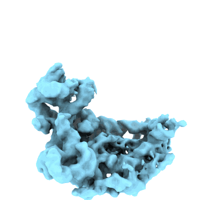 Volume map imageEMD-40548