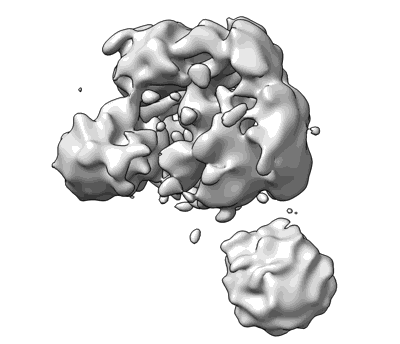 Volume map imageEMD-40586