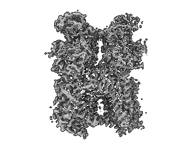 Volume map imageEMD-40637
