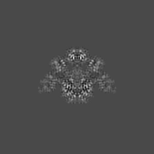 X projection