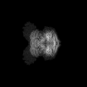 Y projection