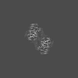 Z projection