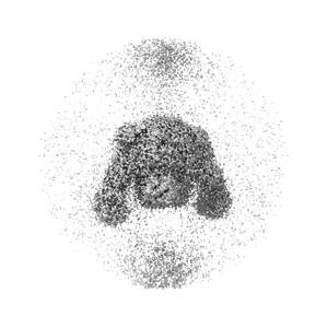 X projection