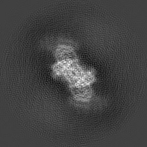 Z projection