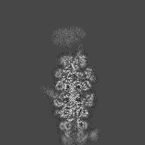 X projection