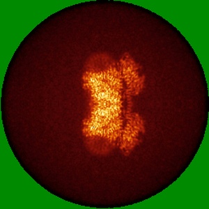 Y projection