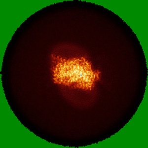 Y projection