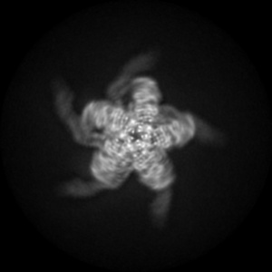 Z projection