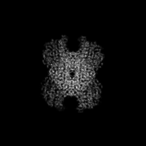 X projection