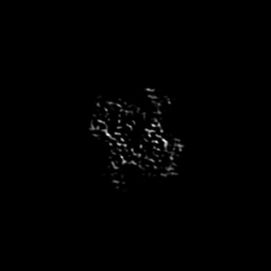 Z projection