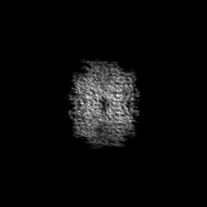 Z projection
