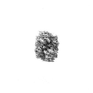 Z projection
