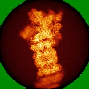 Y projection