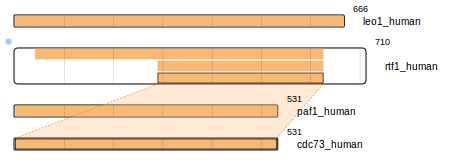 Range Type Representation sourceExp