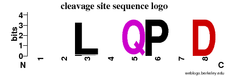 weblogo