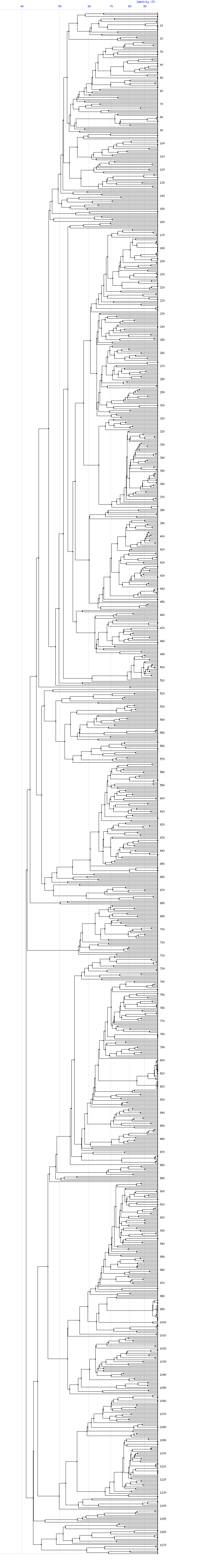 Tree for family C25