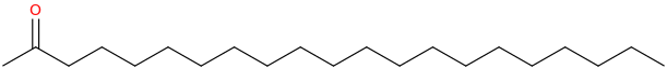 2-HENEICOSANONE molecular structure