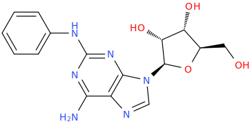 2-PHENYLAMINOADENOSINE molecular structure